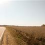 Statesville - Midway Road