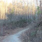 Forney Creek Trail - Clark Segment