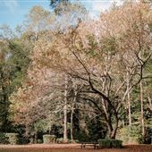 Adkins Nature Retreat - Property