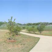 Ramblewood Park - Baseball Field