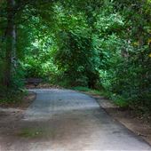 Squirrel Lake Park ➍