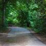 Squirrel Lake Park ➍