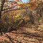 Crowders Mountain State Park - Fall Colors ❼