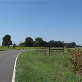 Shelby - Mount Sinai Church Road