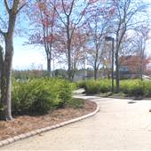 Cherry Park - Softball / Baseball Complex