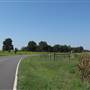 Shelby - Mount Sinai Church Road