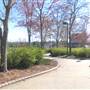 Cherry Park - Softball / Baseball Complex