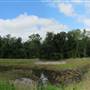 Cox Mill Elementary School - Wetlands & Soccer Field