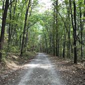 Crowders Mountain State Park - Linwood Access Area ❼