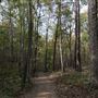 Crowders Mountain State Park - Sparrow Springs / Pinnacle Access Areas ❼
