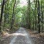 Crowders Mountain State Park - Linwood Access Area ❼